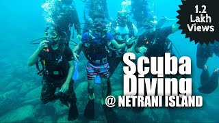 All About Know Scuba Diving  Netrani Island  Murudeshwar  Karnataka [upl. by Eanel]