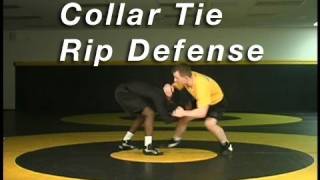 Collar Tie Rip Defense  Cary Kolat Wrestling Moves [upl. by Ibur751]