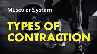 Types of Contraction  Muscular System 04  Anatomy amp Physiology [upl. by Charbonnier]