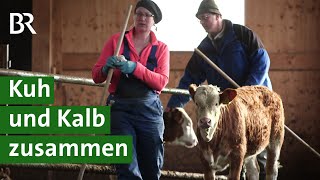 Für mehr Tierwohl Kuhgebundene Kälberhaltung  Milchkuh Doku  Unser Land  BR Fernsehen [upl. by Ysac134]