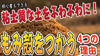 【初心者もできる】粘土質な畑を土壌改良！もみ殻を使う4つの理由【家庭菜園】 [upl. by Sidonius868]