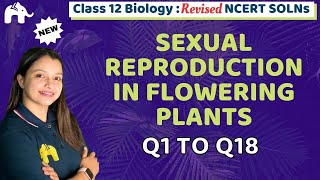 Sexual Reproduction in Flowering Plants Class 12 Biology Revised NCERT Bio Chapter 1 Questions 118 [upl. by Anoynek]