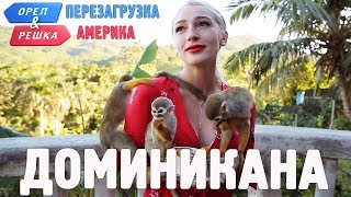 Доминикана Орёл и Решка Перезагрузка АМЕРИКА english subtitles [upl. by Yran36]