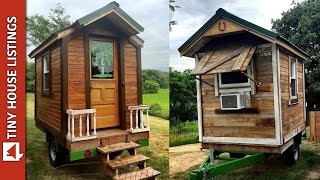 Mike Built Himself A 50 Square Feet Tiny Cabin [upl. by Odeen410]