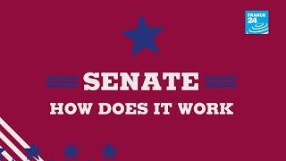 US Midterms Senate how does it work [upl. by Zelikow]