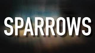 Sparrows  Lyric Video Jason Gray [upl. by Velma]