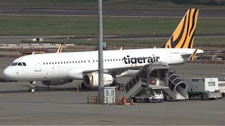 New Special Livery of Tigerair Taiwan B50015 2022Jan1 [upl. by Oster305]