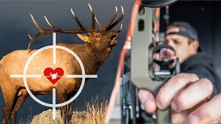 Where to SHOOT an ELK  Bowhunters Watch This [upl. by Ycal]