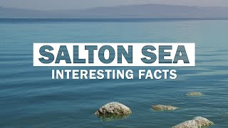 13 Surprising Facts About Salton Sea  The Accidental Lake in California [upl. by Yennek]