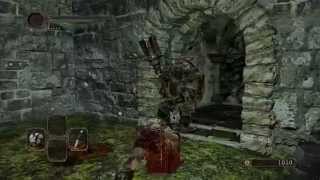 Dark Souls 2 LVL 891 ALL STATS MAX 99 GLITCH WORKING 06022023 [upl. by Dnanidref]