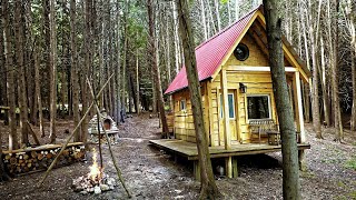 Building a Small Cabin in the Woods [upl. by Yulma]