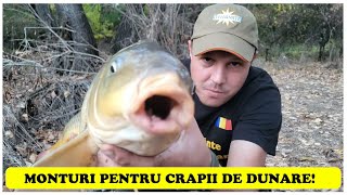 MONTURI PENTRU CRAPII DE DUNARE [upl. by Corbin216]