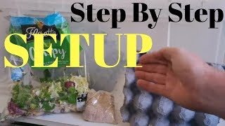 How To Setup A Dubia Roach Breeding Colony For FAST Production [upl. by Alyaj572]