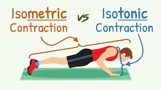 Isometric Contraction vs Isotonic Contraction  Physiology with Animation [upl. by Annaeirb]