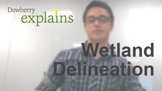 What is Wetland Delineation [upl. by Suivat]