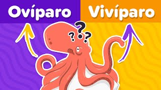 ¿Cuanto sabes de Zoología  Animales Vivíparos y Ovíparos🥚🐬🤔  Trivia de cultura general  Quiz [upl. by Attenyl179]