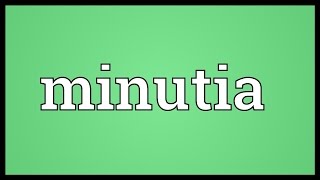 Minutia Meaning [upl. by Dolph614]