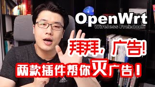 【韩风Talk】Openwrt插件对广告说不，怎么做？两款热门插件随你用！ [upl. by Bocock]