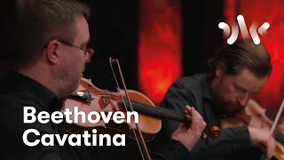 Beethoven Cavatina from String Quartet No13 [upl. by Irina]