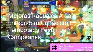 Mejoras Raduales A La Enredadera Candelera En La Temporada Festin De Campeones  Pvz 2 Random [upl. by Dlaregztif]