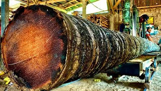 This is the longest form of coconut wood and is as hard as iron [upl. by Adnorat]