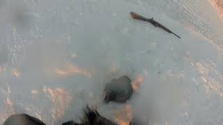 WHAT ITS LIKE HUNTING SEAL IN THE DEAD OF WINTER IN GRISE FIORD NUNAVUT [upl. by Sutniuq718]