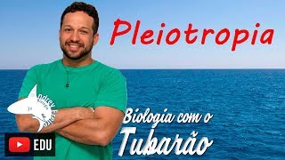 Pleiotropia  Genética  Biologia com o Tubarão [upl. by Eisenberg386]