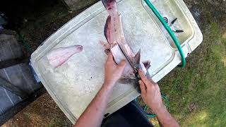 How to Clean A Catfish [upl. by Homans]