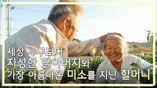 할아버지의 장난에 세상 가장 아름다운 미소를 짓는 할머니 보기만 해도 행복해지는 70년 노부부의 변하지 않는 사랑 이야기ㅣ장수의 비밀  하늘 밑 단 한 사람 그대 [upl. by Ebenezer]