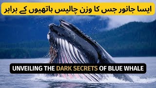 The Terrifying Truth About Blue Whales  The Ultimate Gentle Giants  Urdu Hindi  English subtitle [upl. by Clint]