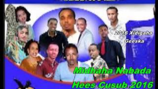 Hees Cusub quotMidhaha Nabadaquot Codkii Fanaaniinta Xidigaha Geeska 2016 [upl. by Lanette]