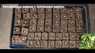 Persblokjes maken en tuinbonen voorzaaien [upl. by Aitnecserc508]