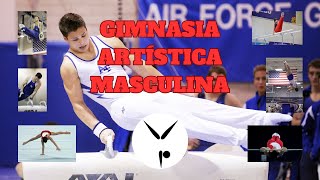 Los 6 aparatos de la GIMNASIA ARTÍSTICA masculina 🤸‍♂️ [upl. by Trahern]