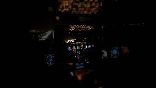 AMAZING A320 Night Landing from Cockpit [upl. by Suinotna]