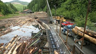 Amazing Sawmill Operation  Fastest Sawmill Ever [upl. by Nofets]