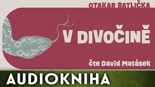 Otakar Batlička  V divočině  Audiokniha [upl. by Vescuso994]