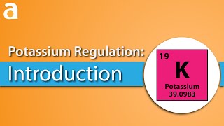 Potassium Regulation Introduction [upl. by Nwaf]