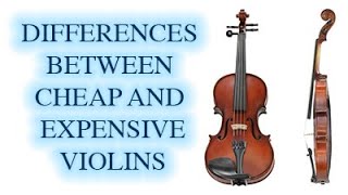 Difference Between Cheap and Expensive Violins  KV [upl. by Adlin]