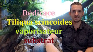 Dédicace Tiliqua scincoides vaporisateur substrat et petit bonus [upl. by Hoj]