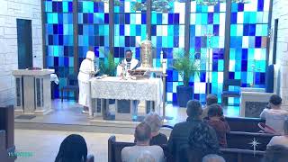 Nativity Catholic Church Live Stream [upl. by Moskow859]