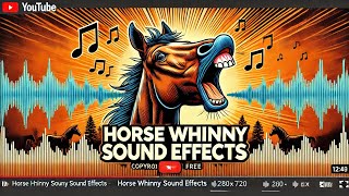 Horse Whinny Sound Effects With Drawing [upl. by Atekehs]