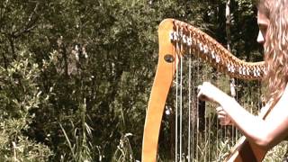 Brian Borus March Celtic Harp Traditional Irish Music [upl. by Assened839]