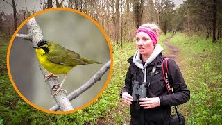 We Started Using Binoculars for Birding At The Perfect Time [upl. by Aryhs451]