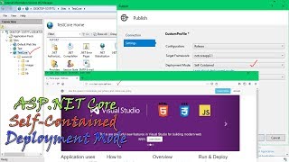 How to Deploy ASPNET Core Application on IIS in Self Contained Mode [upl. by Alithia]