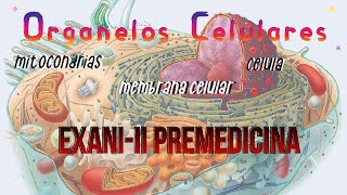 EXANIII Premedicina  Organelos Célulares 14 [upl. by Ligetti]