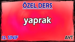 20 Bitkilerin Yapısı  Yaprak  Özel Ders 12 Sınıf [upl. by Aiciles]