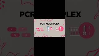 PCR multiplex [upl. by Ennairac17]