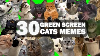 BEST 30 GREEN SCREEN CATS MEMES [upl. by Fredenburg]