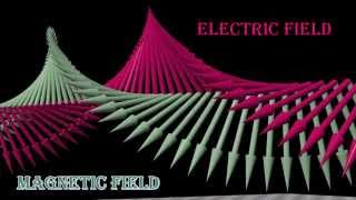 Polarization of Light circularly polarized linearly polarized unpolarized light [upl. by Resee]