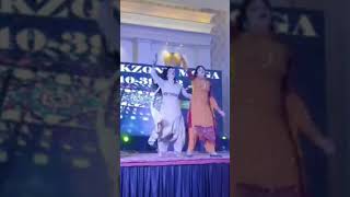 Marjani paundi Bhangra angreji beat ta [upl. by Juli308]